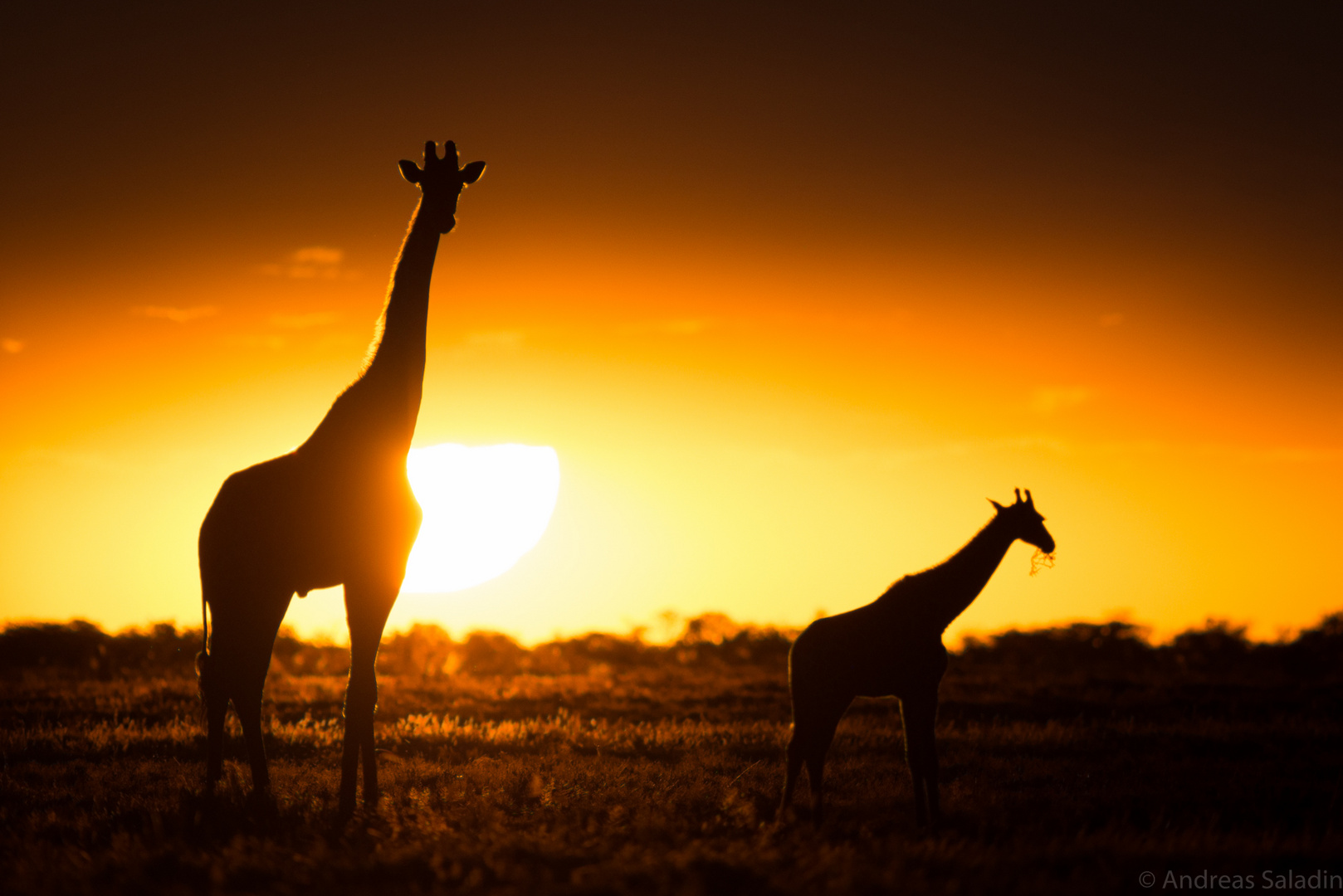 Namibia - Magic Moments