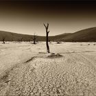 Namibia monochrom - I