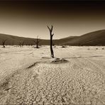 Namibia monochrom - I