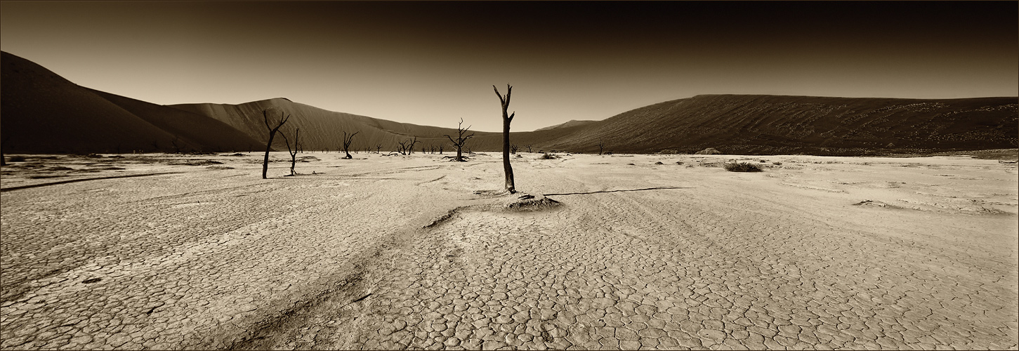 Namibia monochrom - I