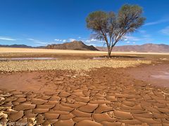 Namibia - nach dem Regen