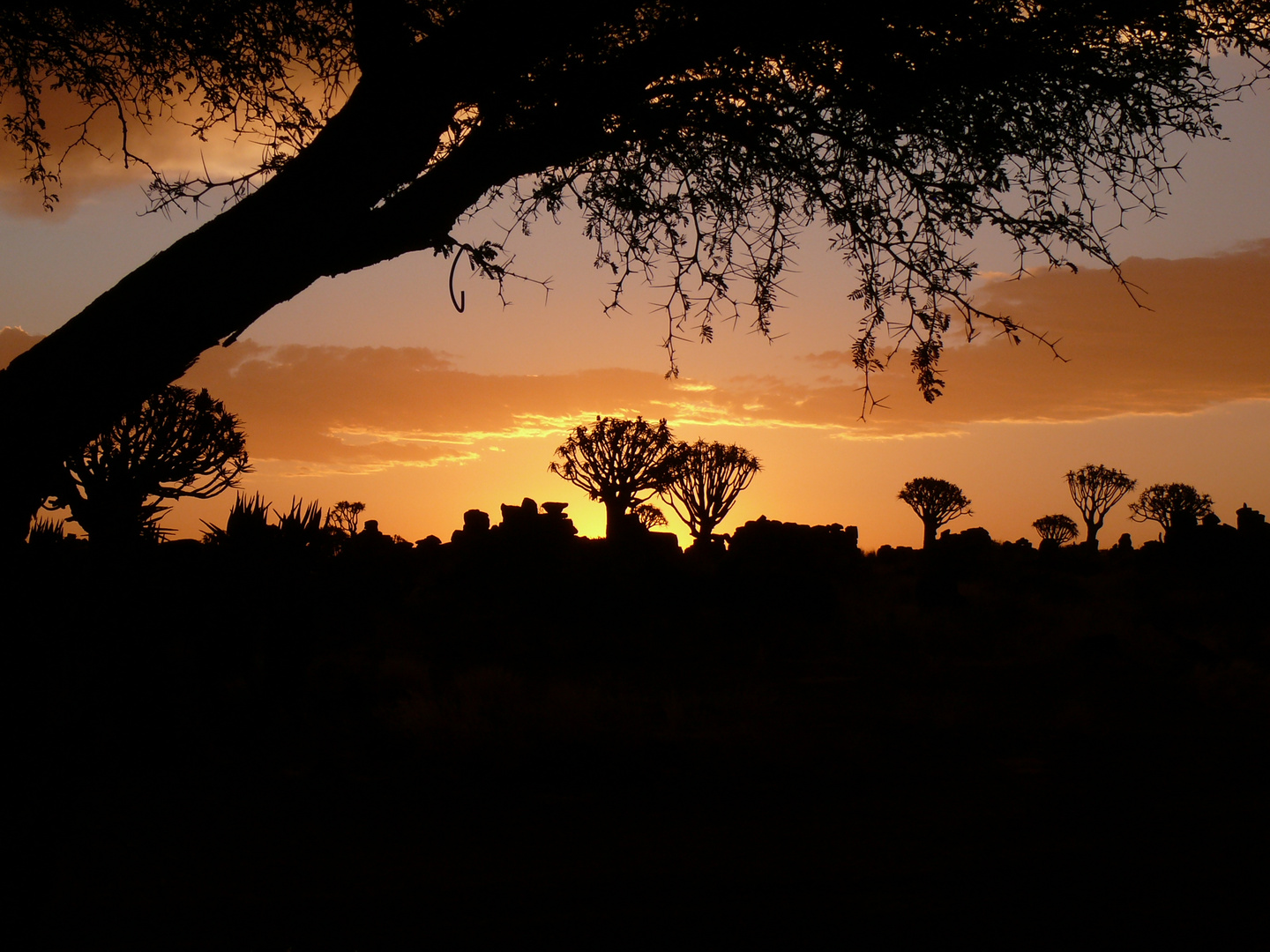 Namibia nach einem Gewitter