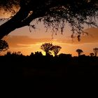 Namibia nach einem Gewitter