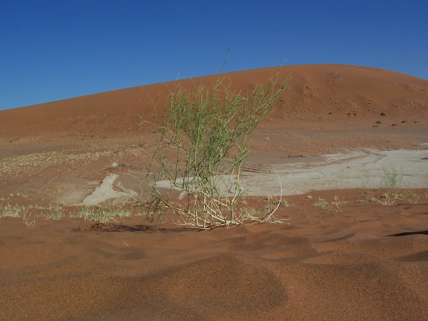 Namibia Namib 02