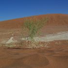 Namibia Namib 02