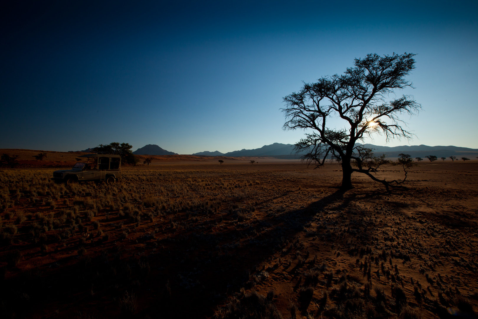 Namibia - Namib 2010