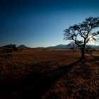 Namibia - Namib 2010