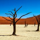 Namibia -  Namib - Dead Vlei