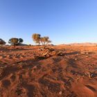 Namibia: Namib Naukluft Park
