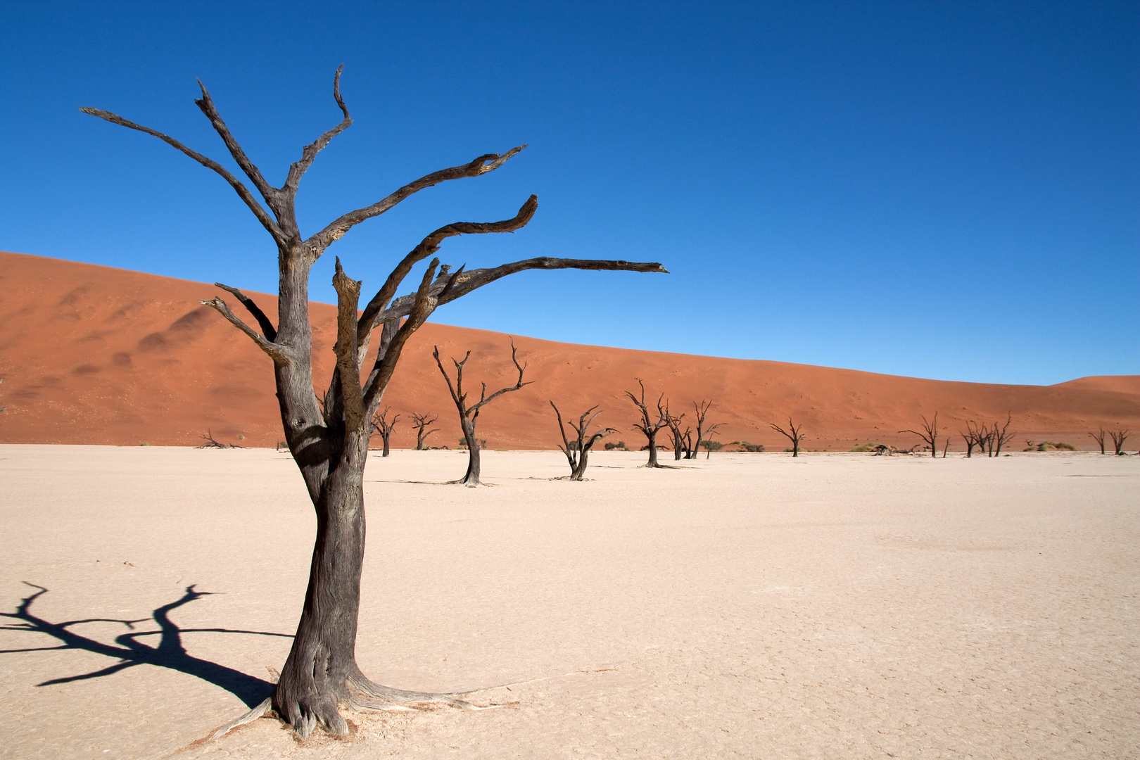 Namibia - Namib Naukluft Park Sossusvlei