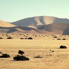 Namibia; Namib Wüste