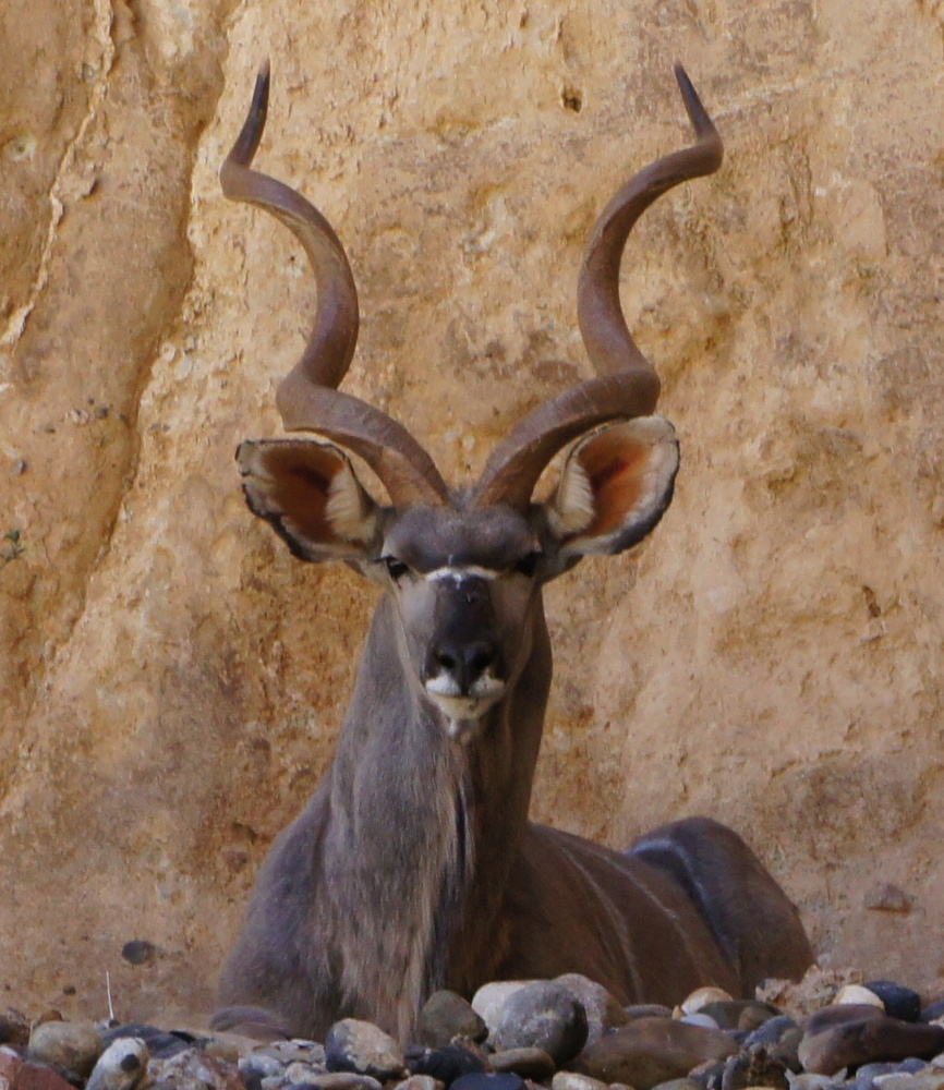 Namibia Nov. 2010-2
