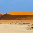 Namibia Oktober 2013  (Sossusvlei)