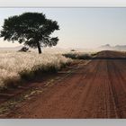 Namibia - on the road to Sesrim Canyon