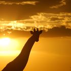 Namibia Panorama Rock