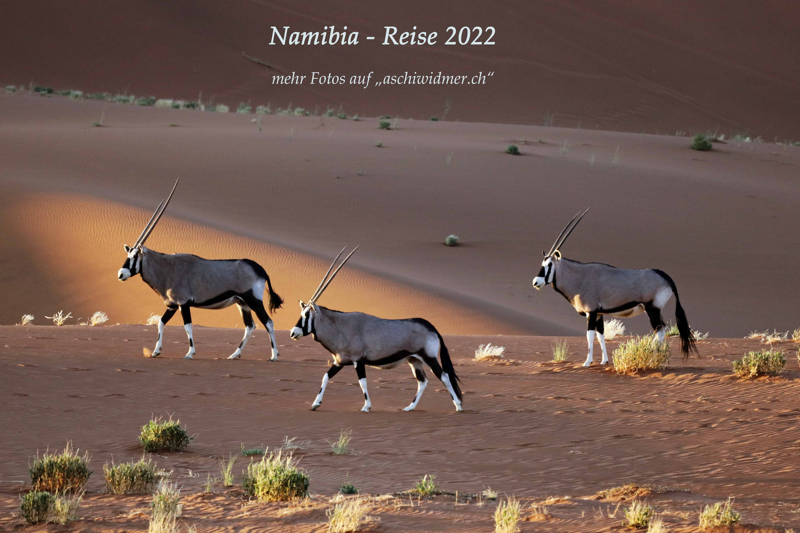 Namibia - Reise Mai - Juni 2022