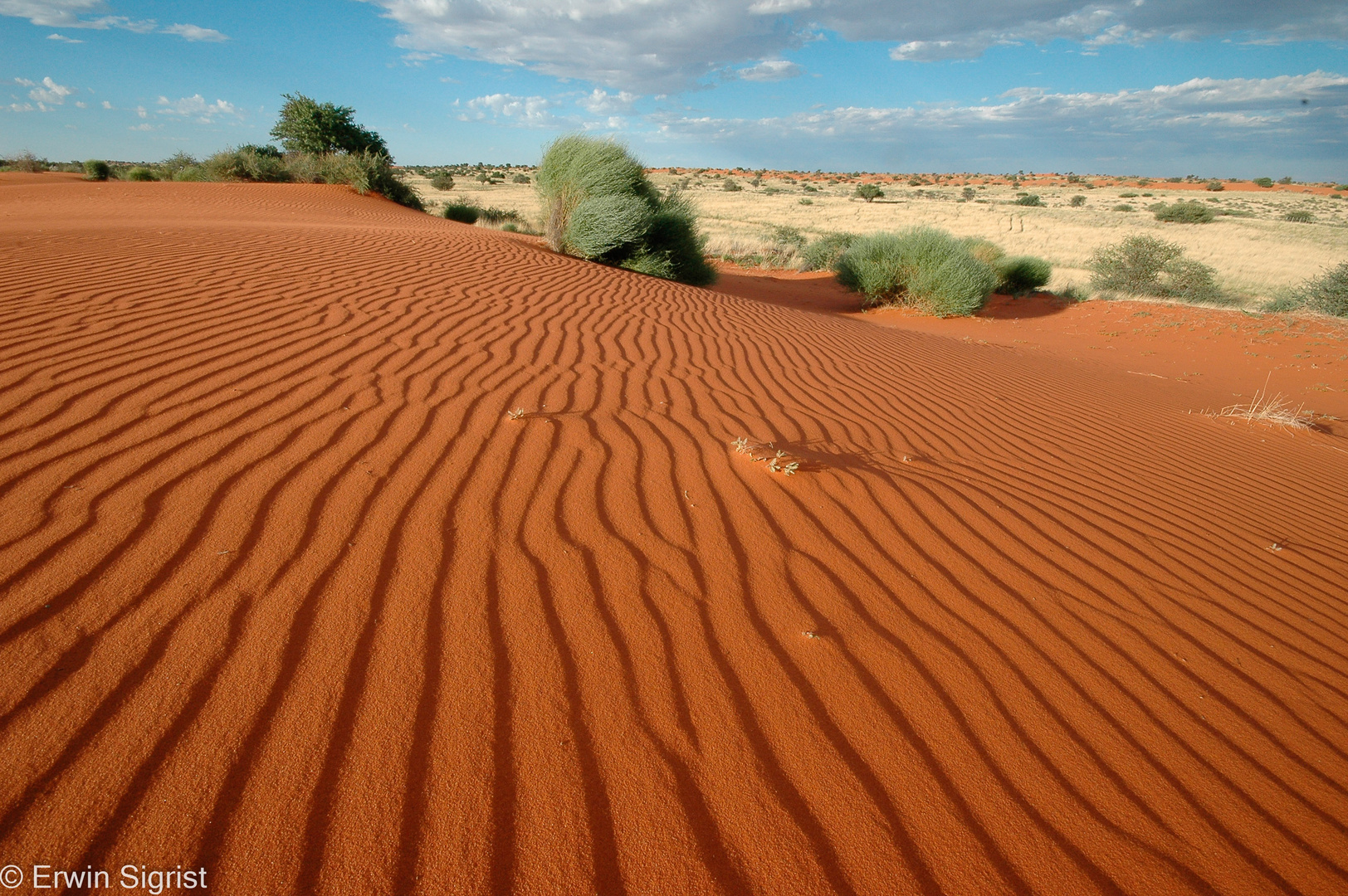 Namibia - Sanddüne