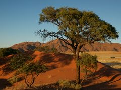 Namibia Serie 2 - 1