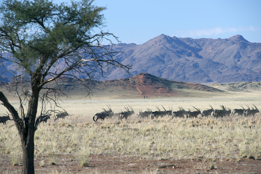 Namibia Serie 2 - 12