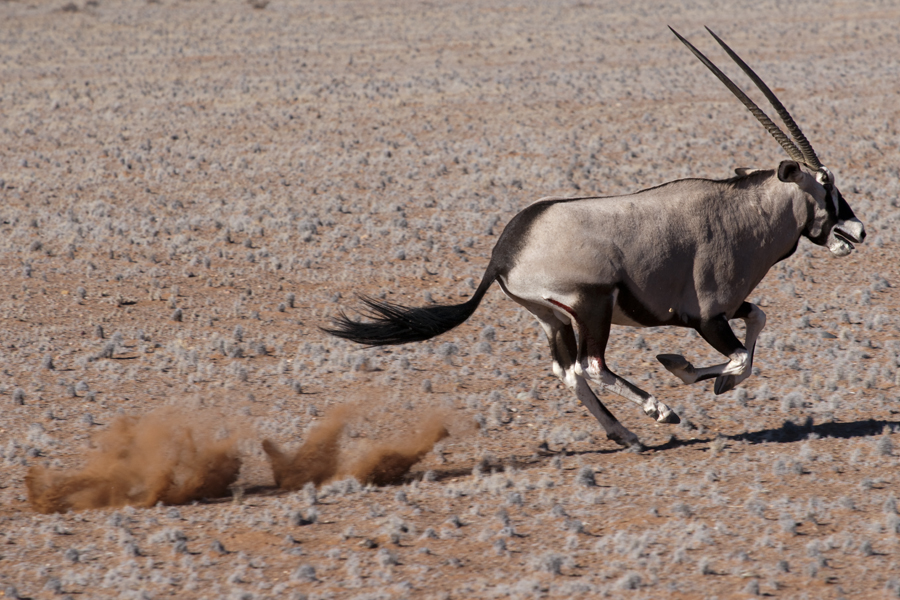 Namibia Serie 2 - 13