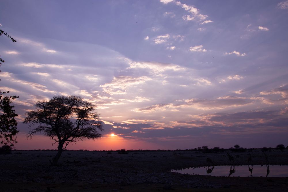 Namibia Series 01