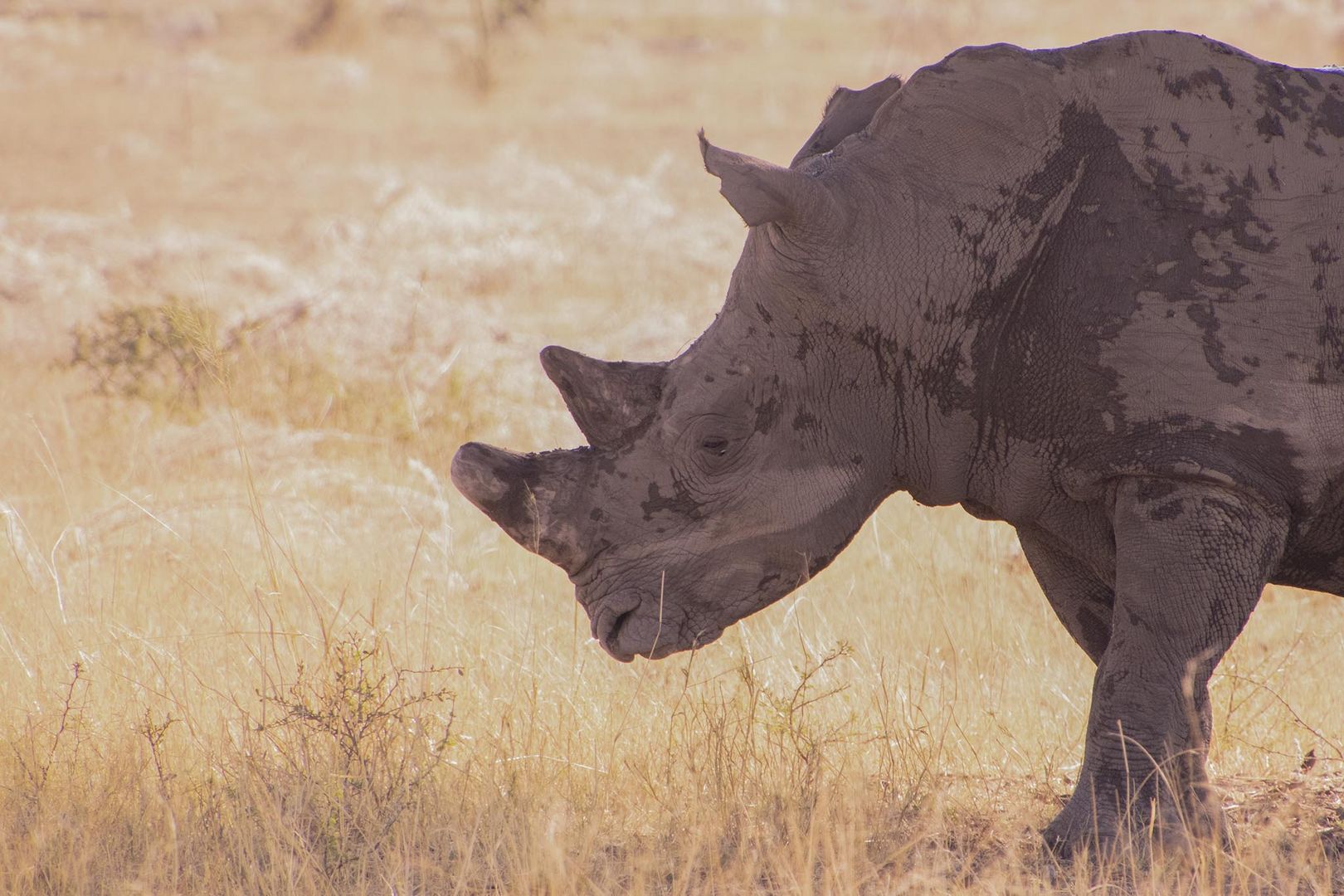 Namibia Series 03