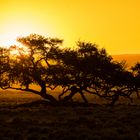 Namibia Sonnenuntergang