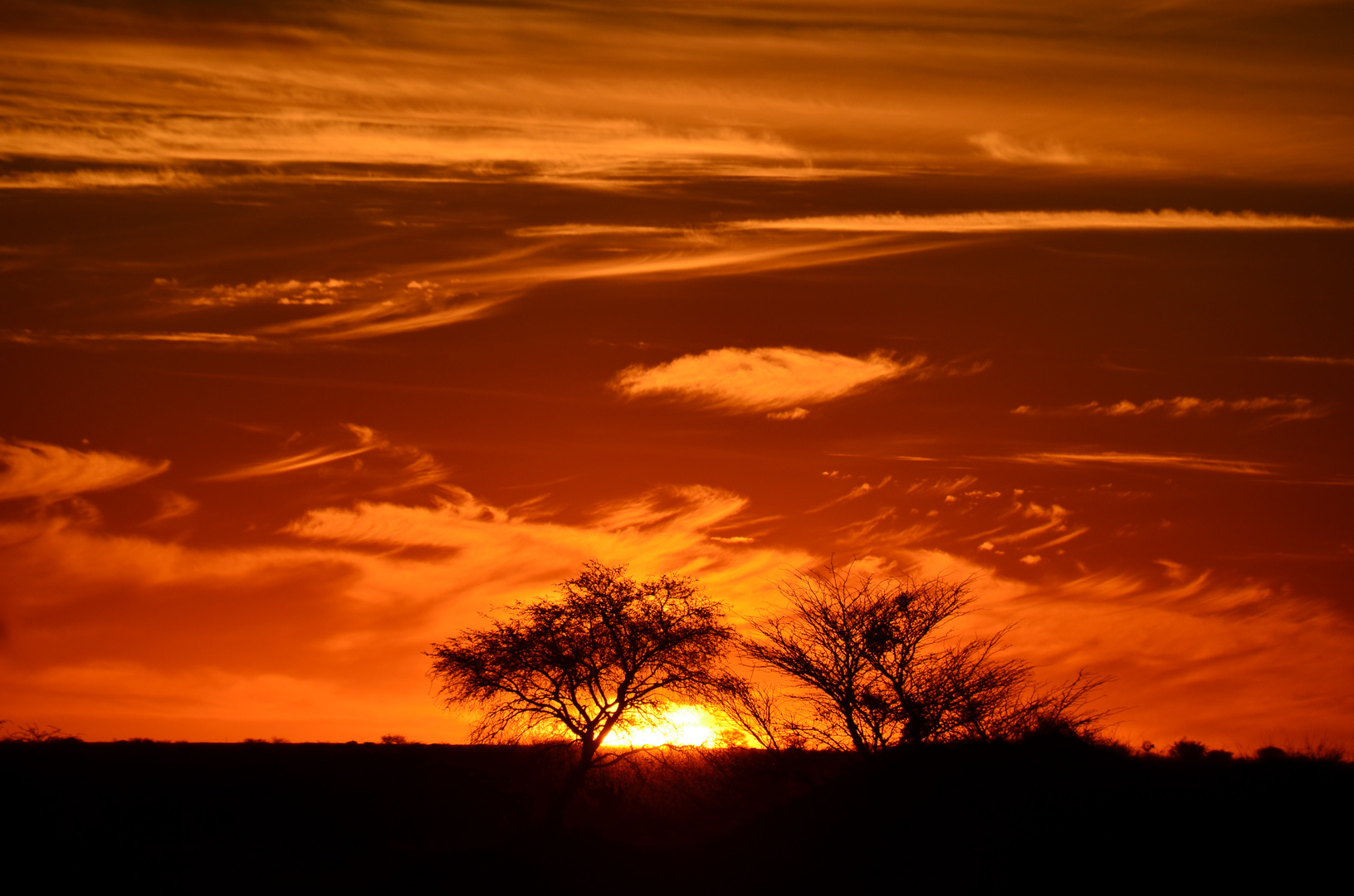 Namibia - Sonnenuntergang in der Kalahari (November 2016)