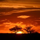 Namibia - Sonnenuntergang in der Kalahari (November 2016)