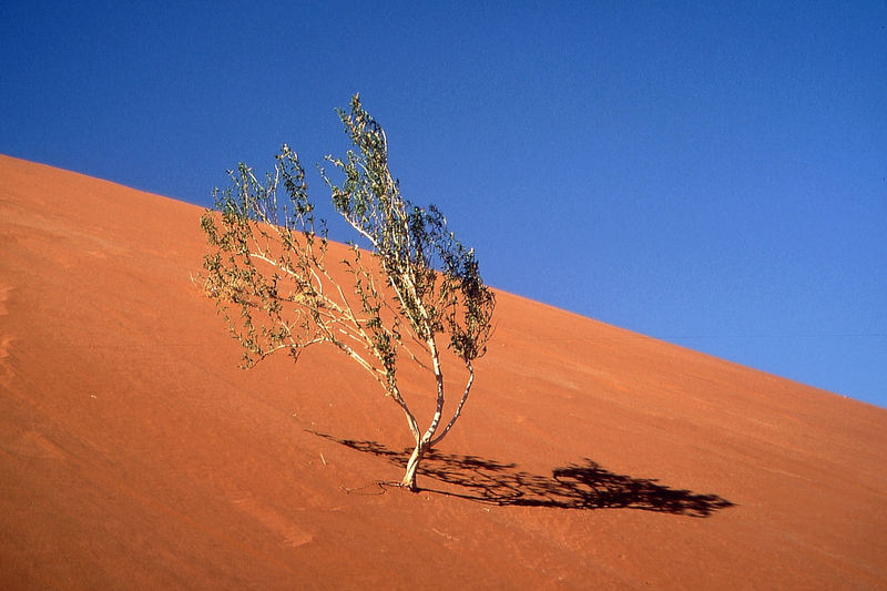 Namibia: Sossousvlei