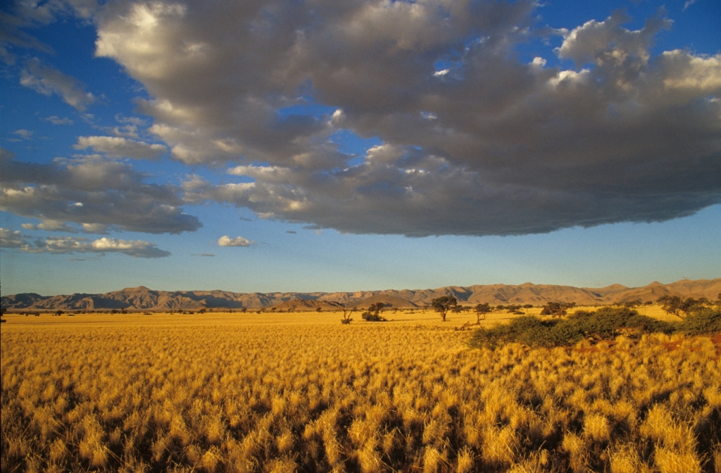 Namibia Sossusvlei