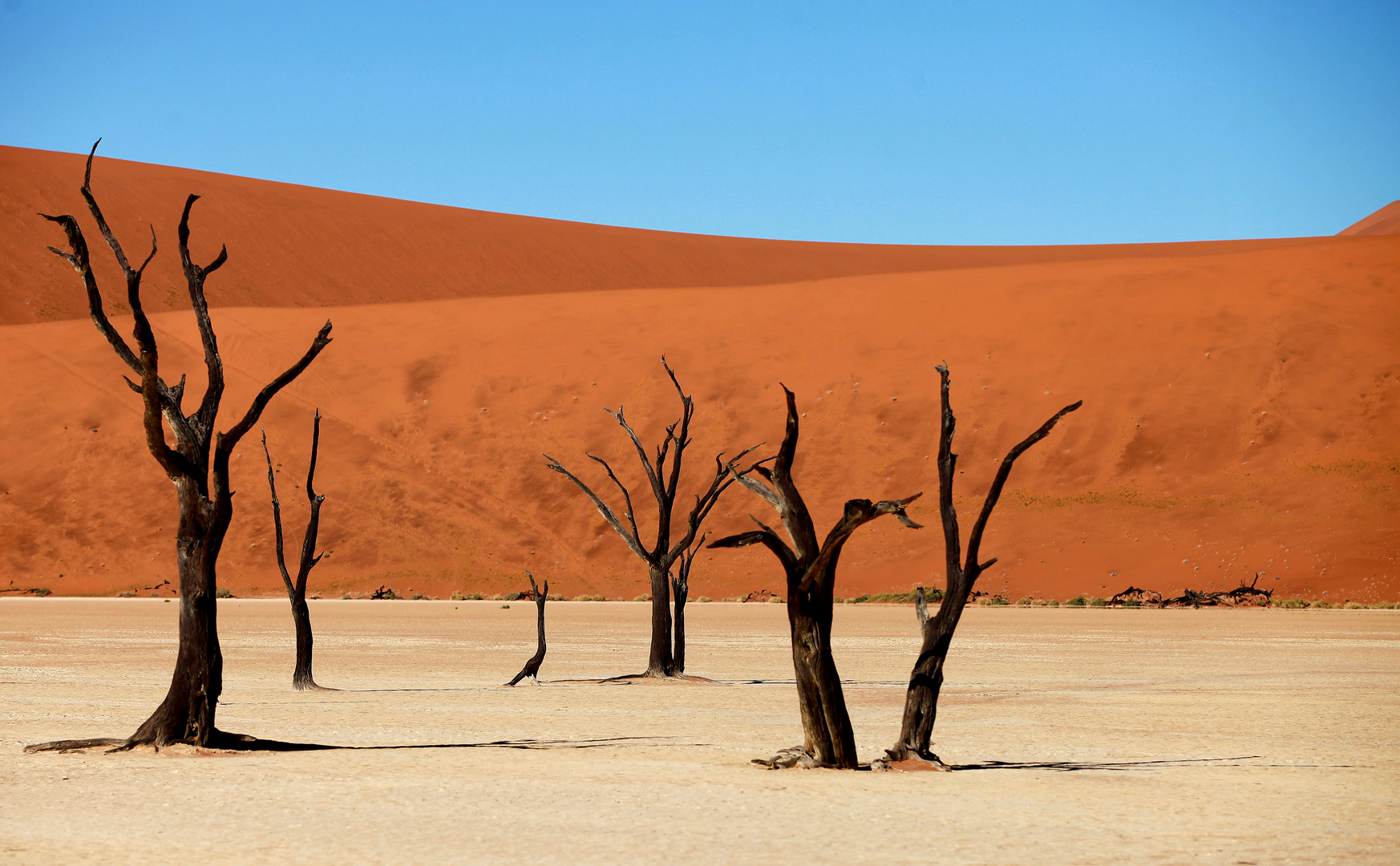 Namibia Sossusvlei 1