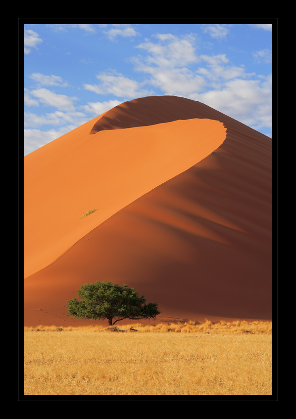 Namibia / Sossusvlei #12