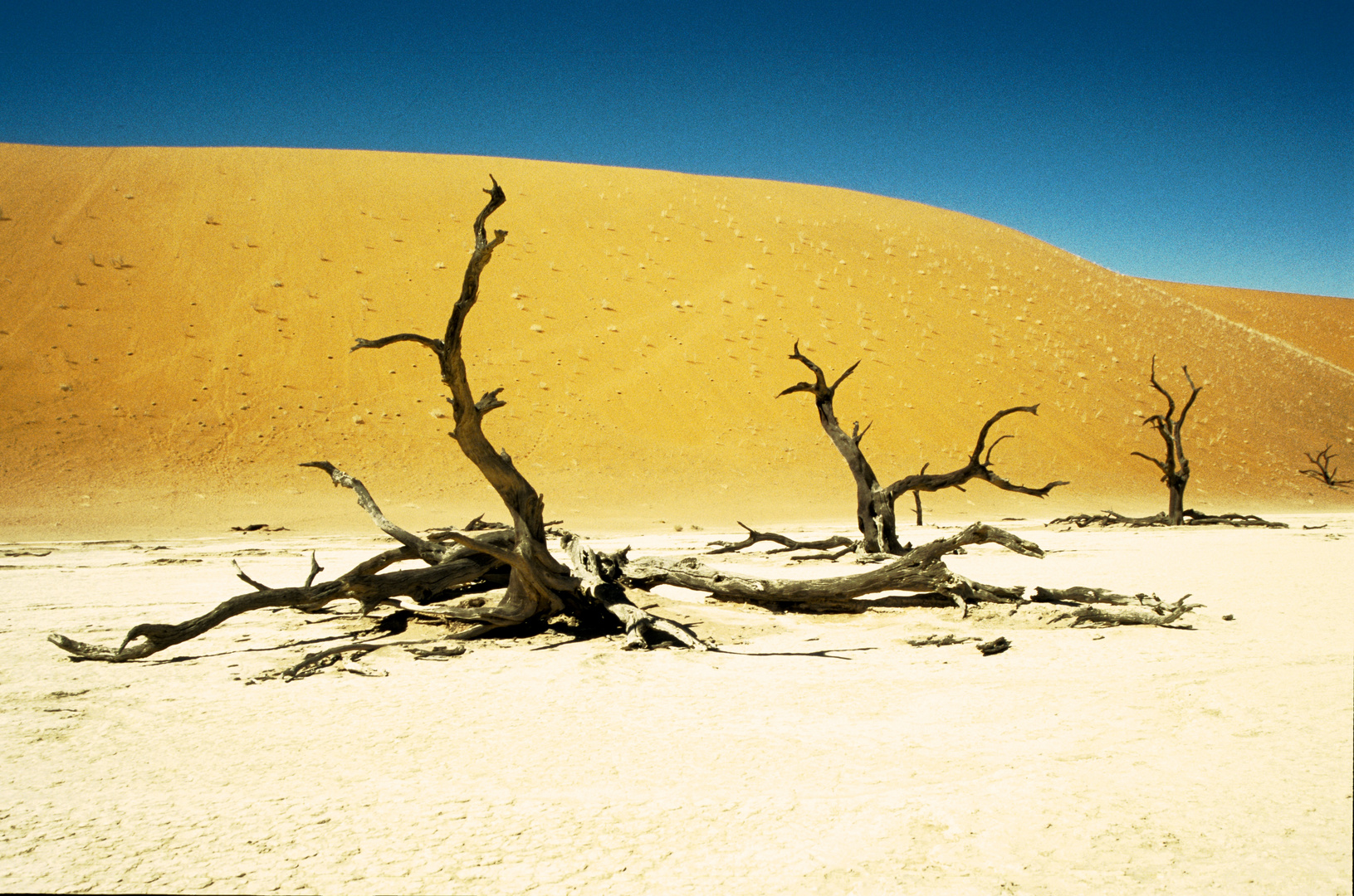 Namibia Sossusvlei