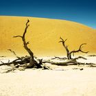 Namibia Sossusvlei