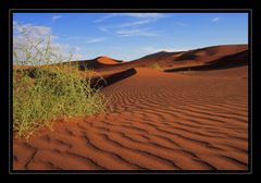 Namibia / Sossusvlei #18