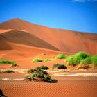 Namibia: Sossusvlei 4