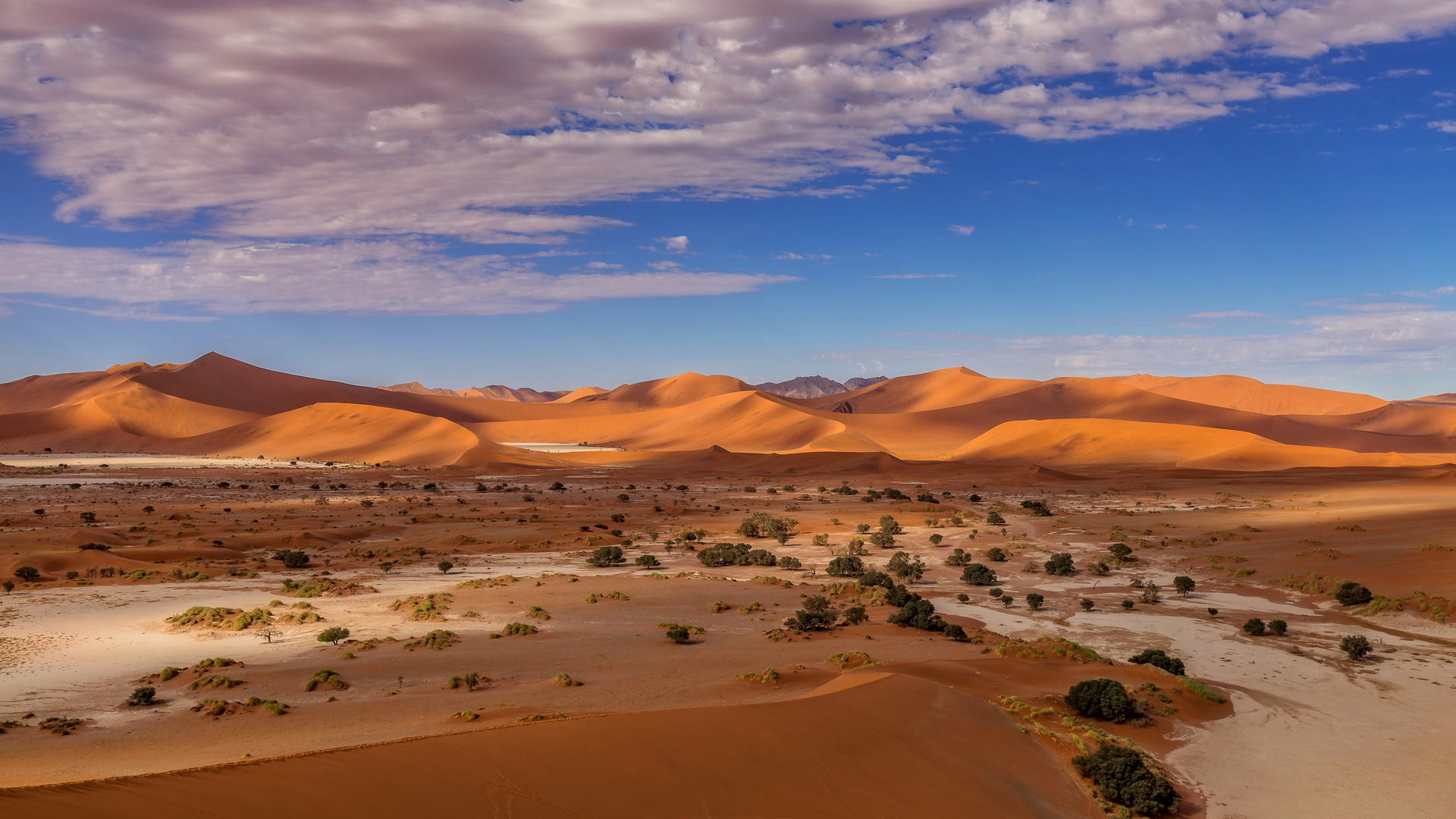 Namibia-Sossusvlei....