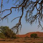 Namibia - Sossusvlei