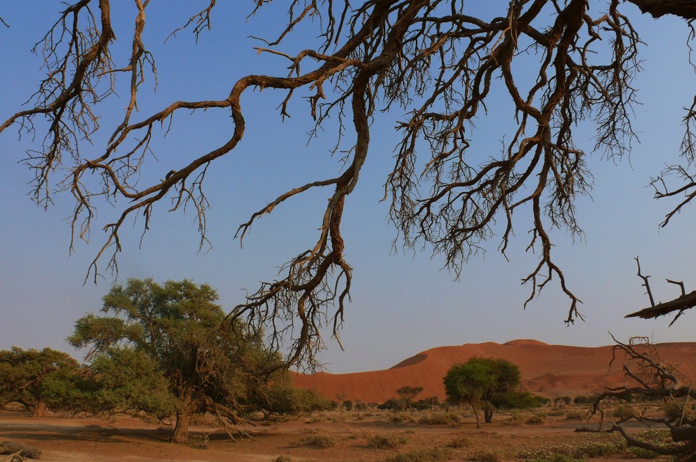 Namibia - Sossusvlei