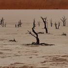 Namibia Sossusvlei Dead Vlei