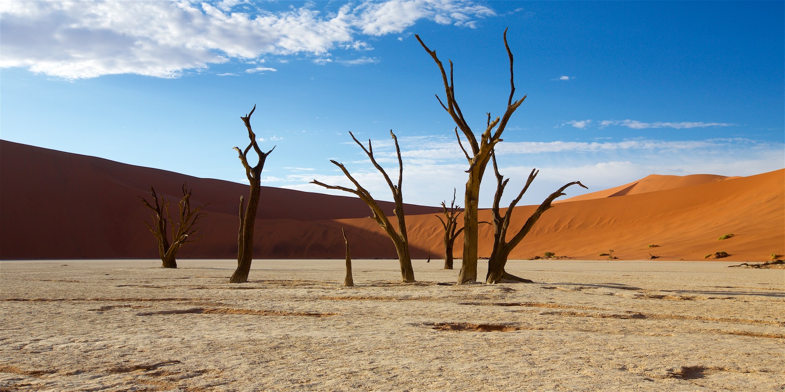 Namibia - Sossusvlei Dead Vlei