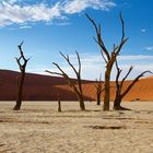 Namibia - Sossusvlei Dead Vlei