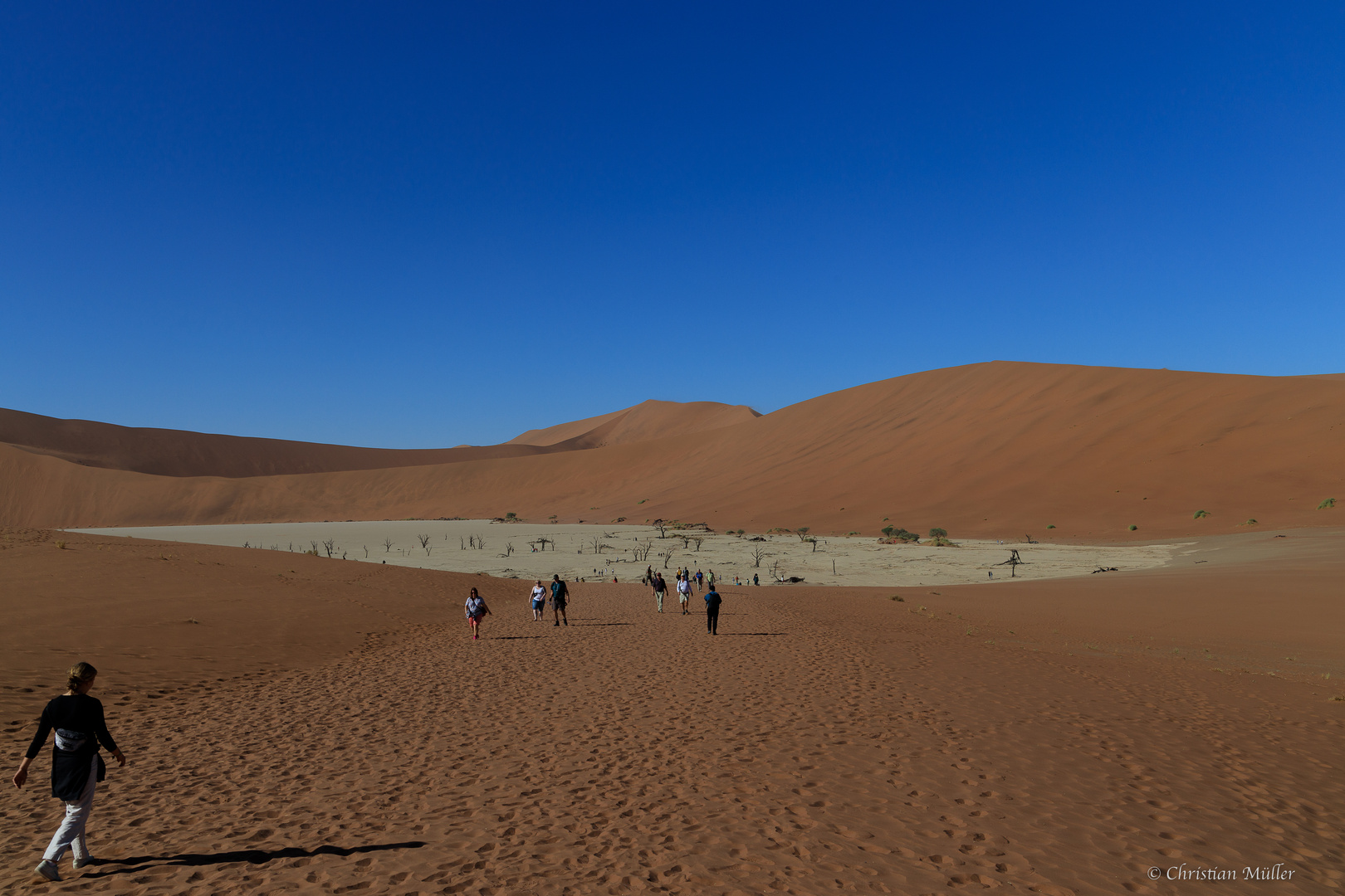 Namibia: Sossusvlei/ Deadvlei