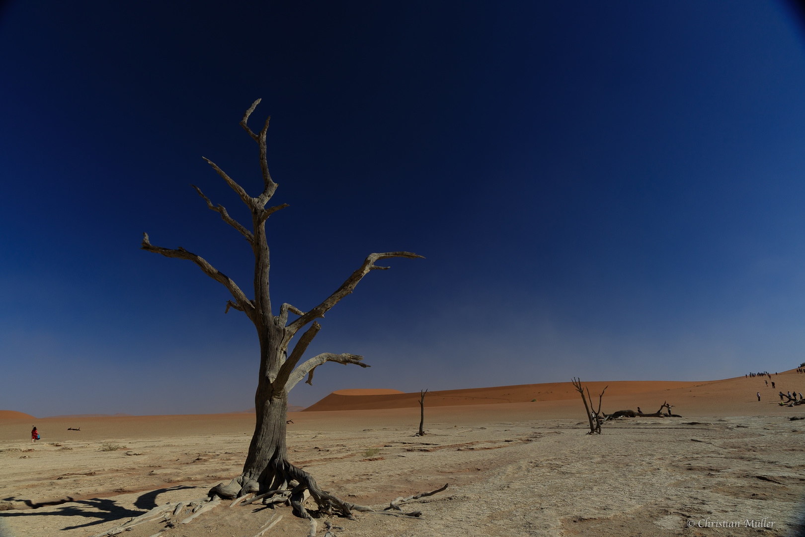 Namibia: Sossusvlei/ Deadvlei, h. Deadvlei