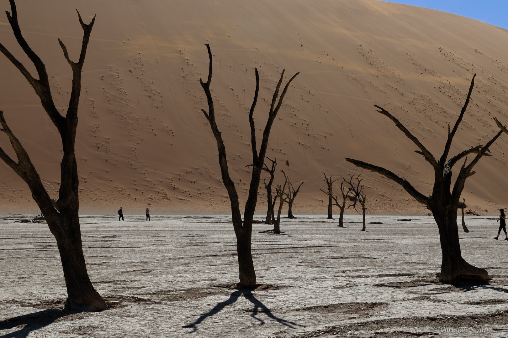 Namibia: Sossusvlei/ Deadvlei, h. Deadvlei