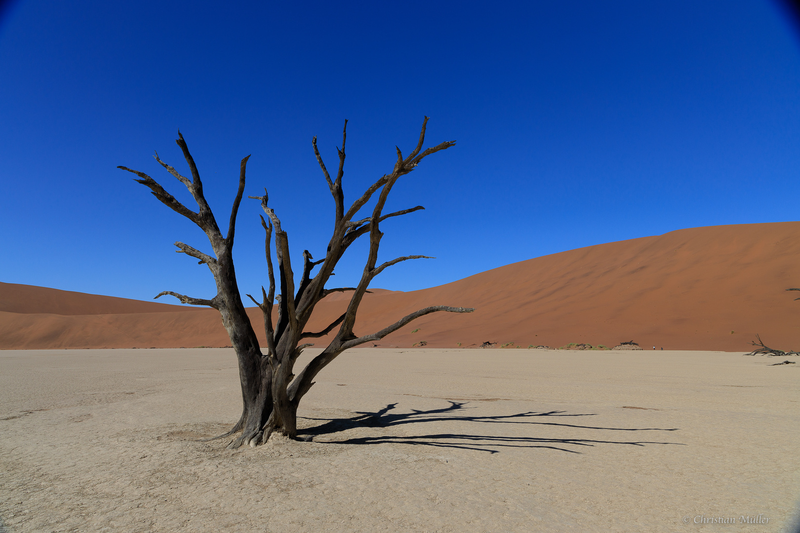 Namibia: Sossusvlei/ Deadvlei, h. Deadvlei