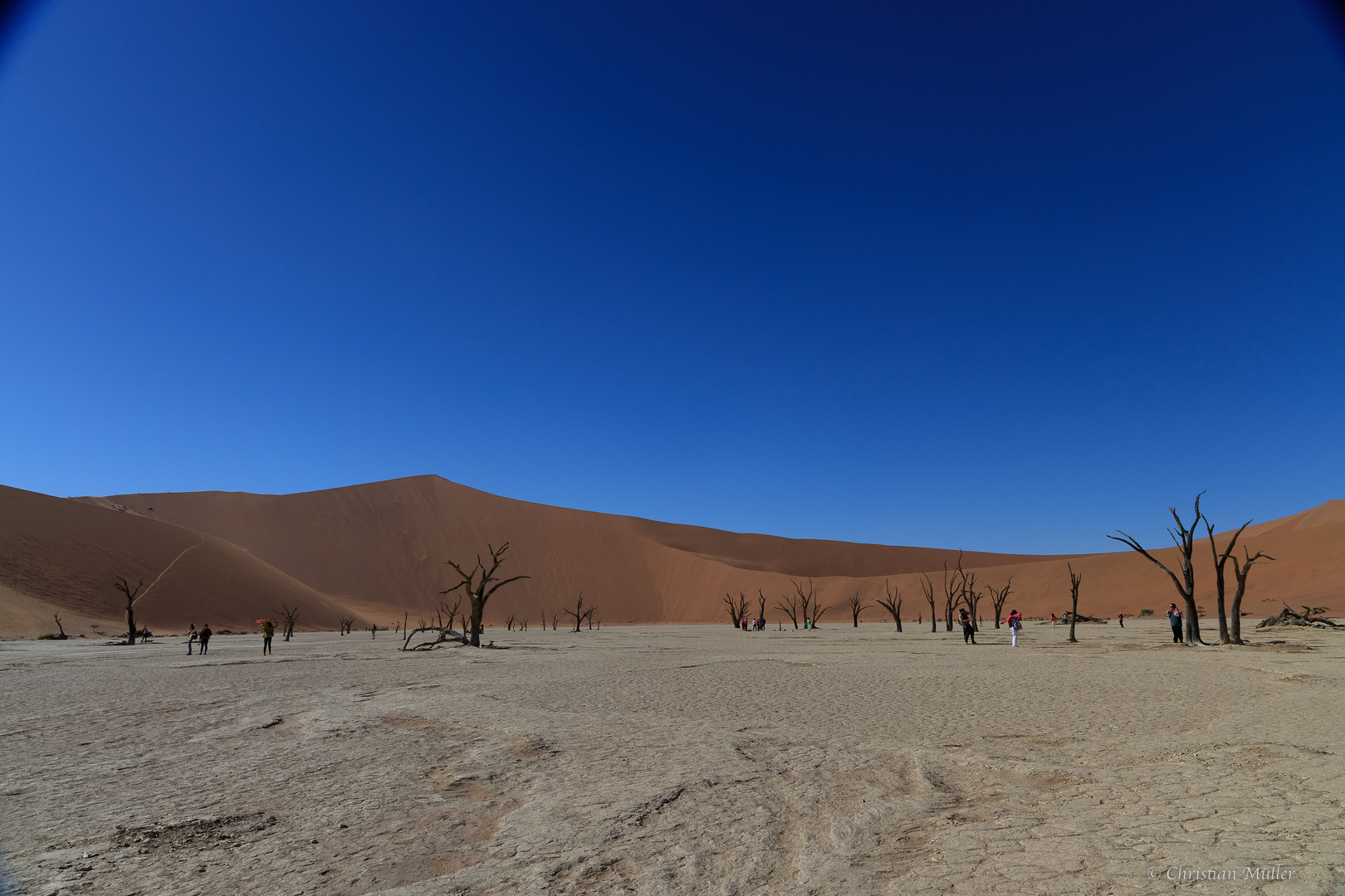 Namibia: Sossusvlei/ Deadvlei, h. Deadvlei