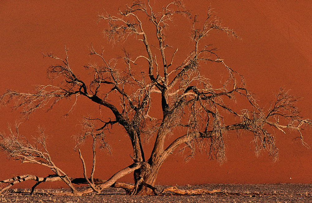 NAMIBIA Sossusvlei Düne 45