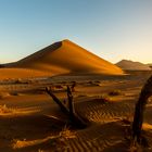 Namibia - Sossusvlei